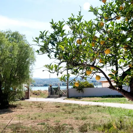 Anndora * Χαλκίδα