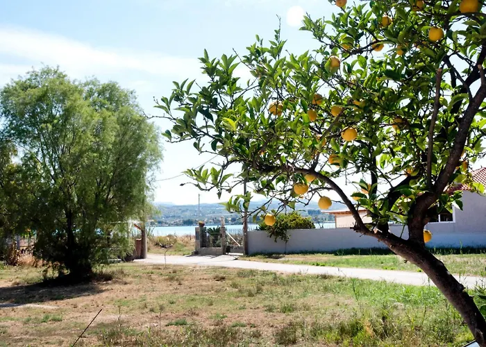 Anndora * Χαλκίδα