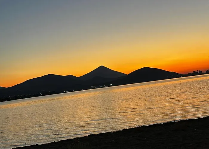 Anndora * Χαλκίδα